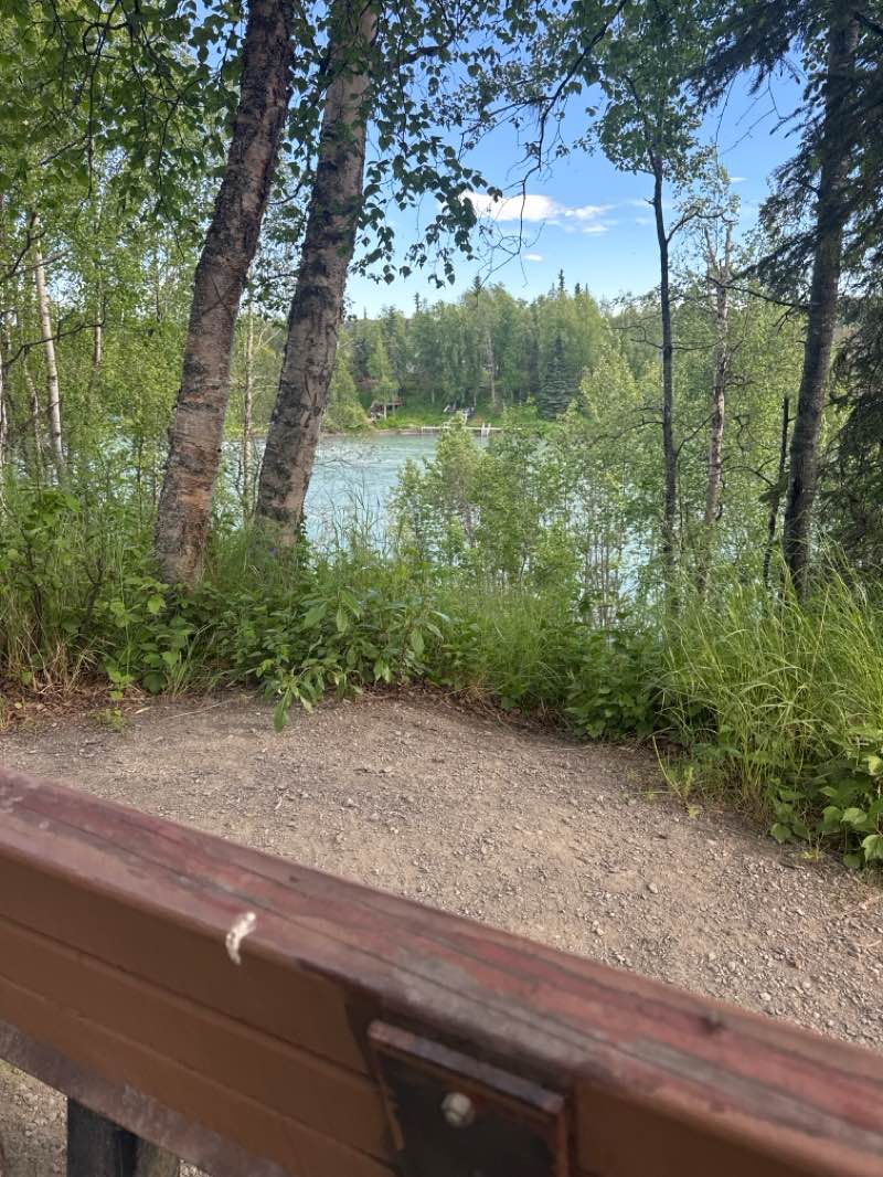 walking near me in Soldotna Creek Park in summer