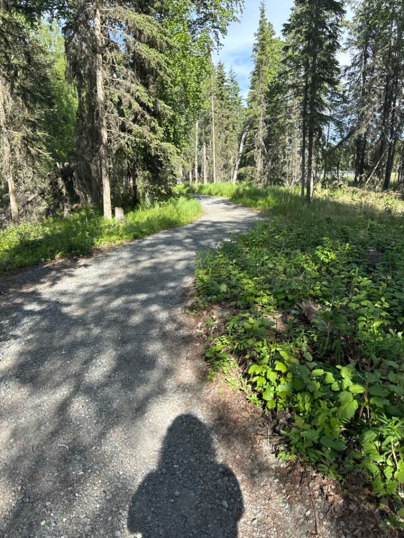 walking near me in Soldotna Litttle League Park in summer