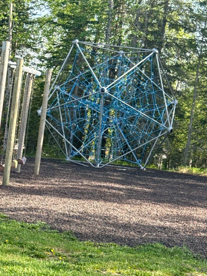 walking near me in Farnsworth Park in summer