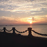 Greeshma Reddy profile