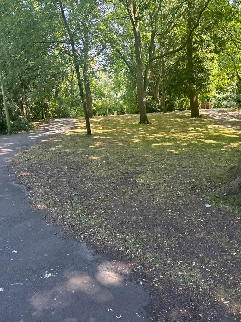 walking near me in Town Gardens in summer