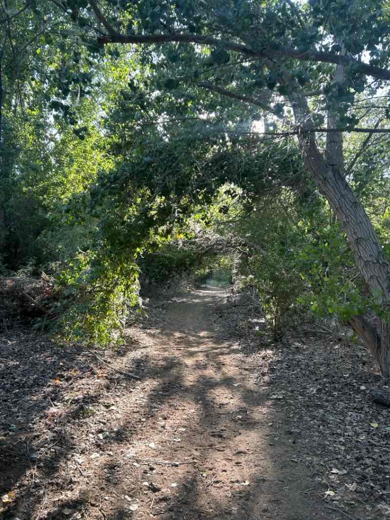 walking near me in Panorama Park in summer