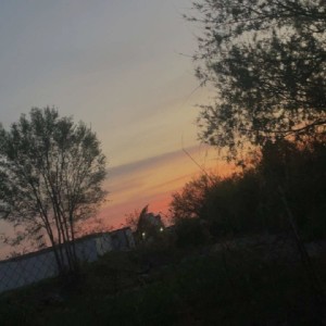 Thias ツ profile