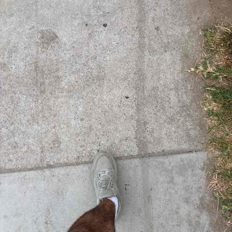 ndd post 1
