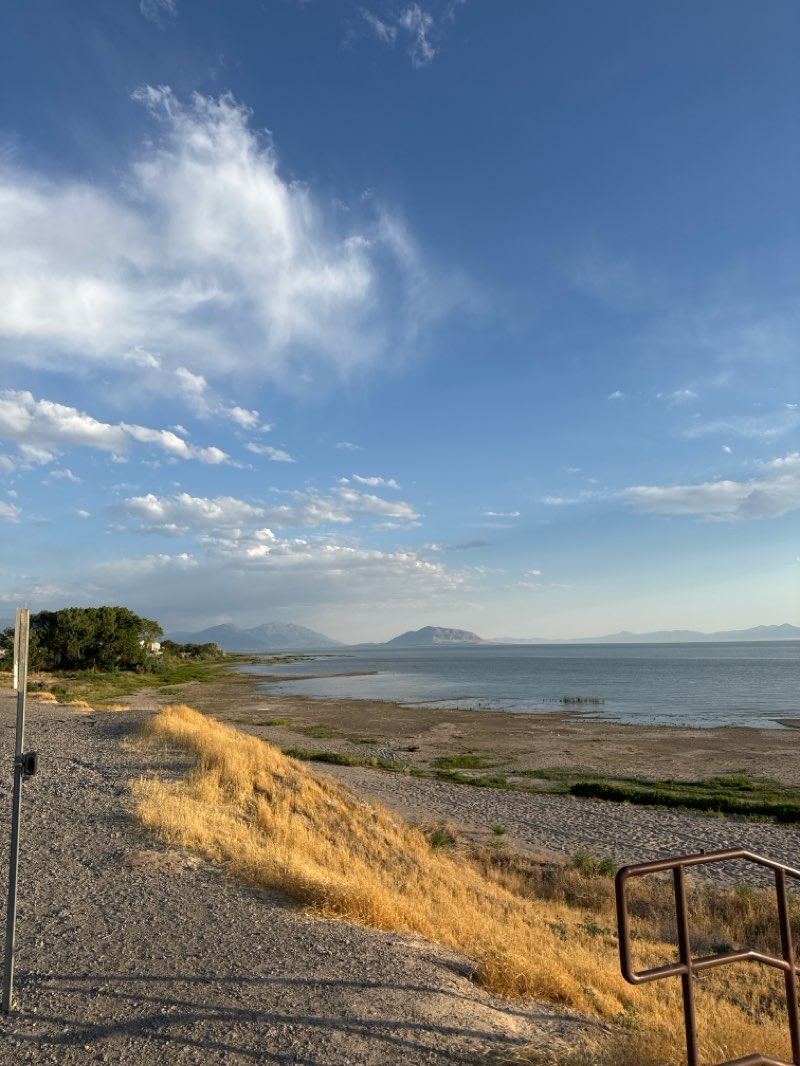 walking near me in Vineyard Beach in summer