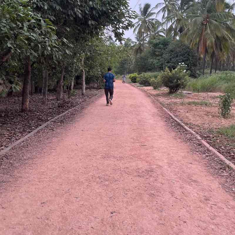 Ramaswamy post 3