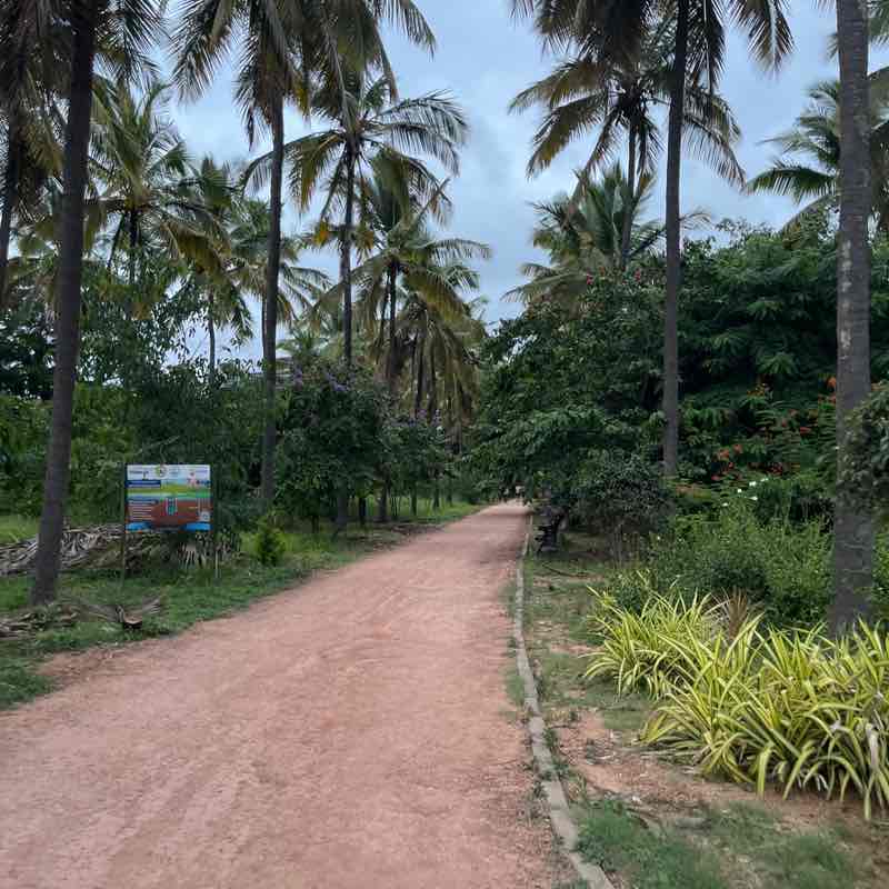 Ramaswamy post 3