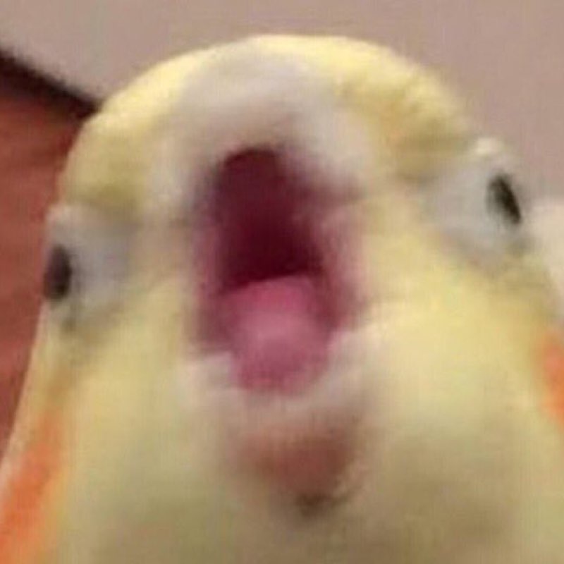Danyal icon
