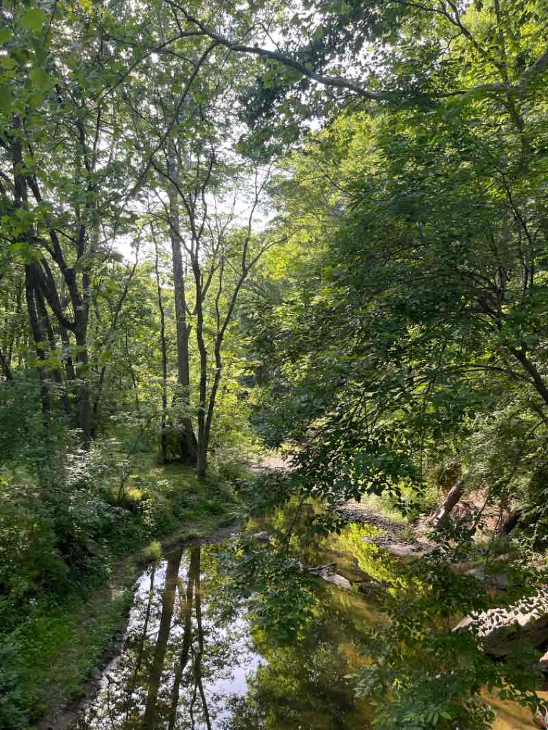 walking near me in Jordan Creek Parkway in summer