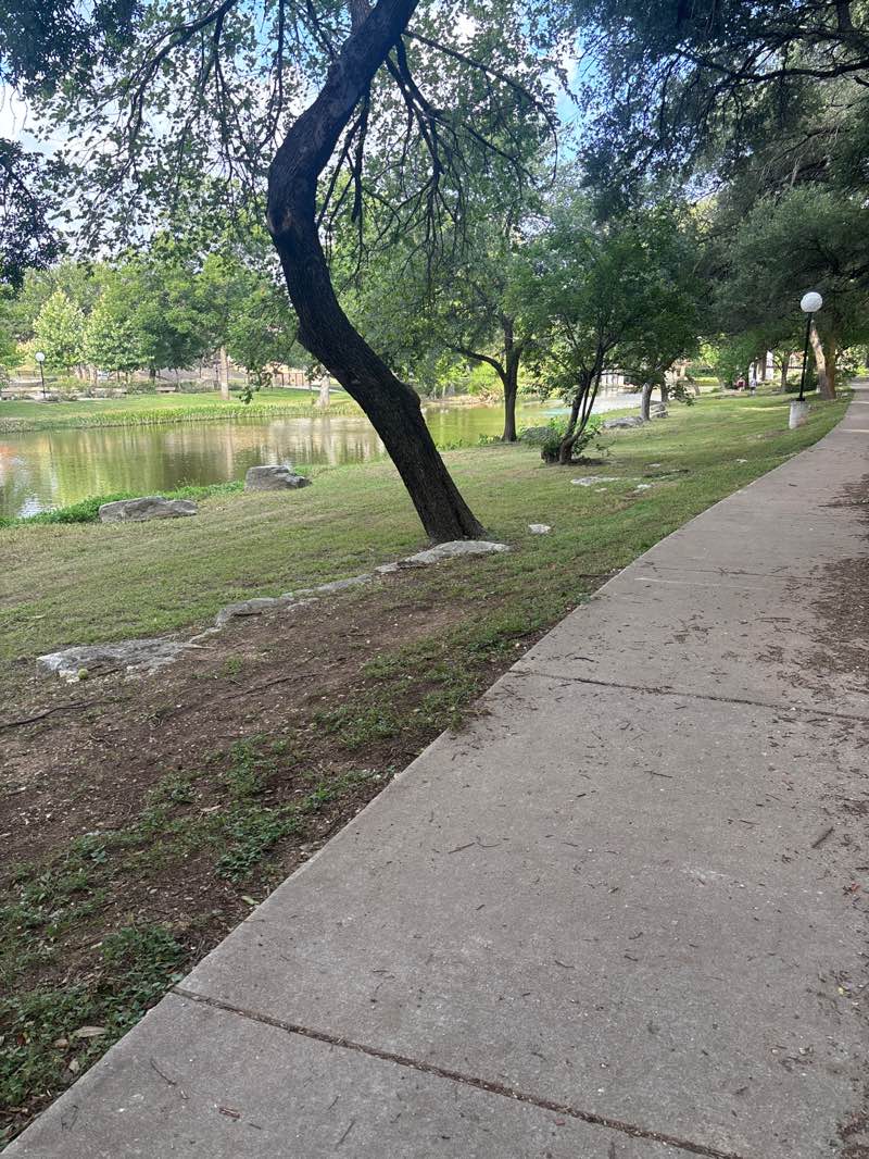 walking near me in Memorial Park in summer