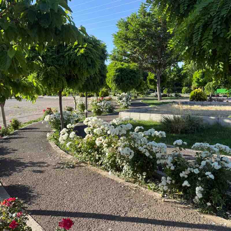 گام های طلایی Mafakherian post image