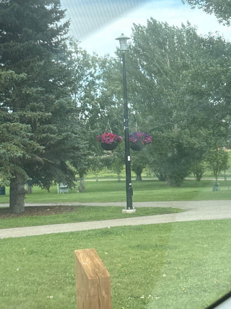 walking near me in Nose Creek Park in summer
