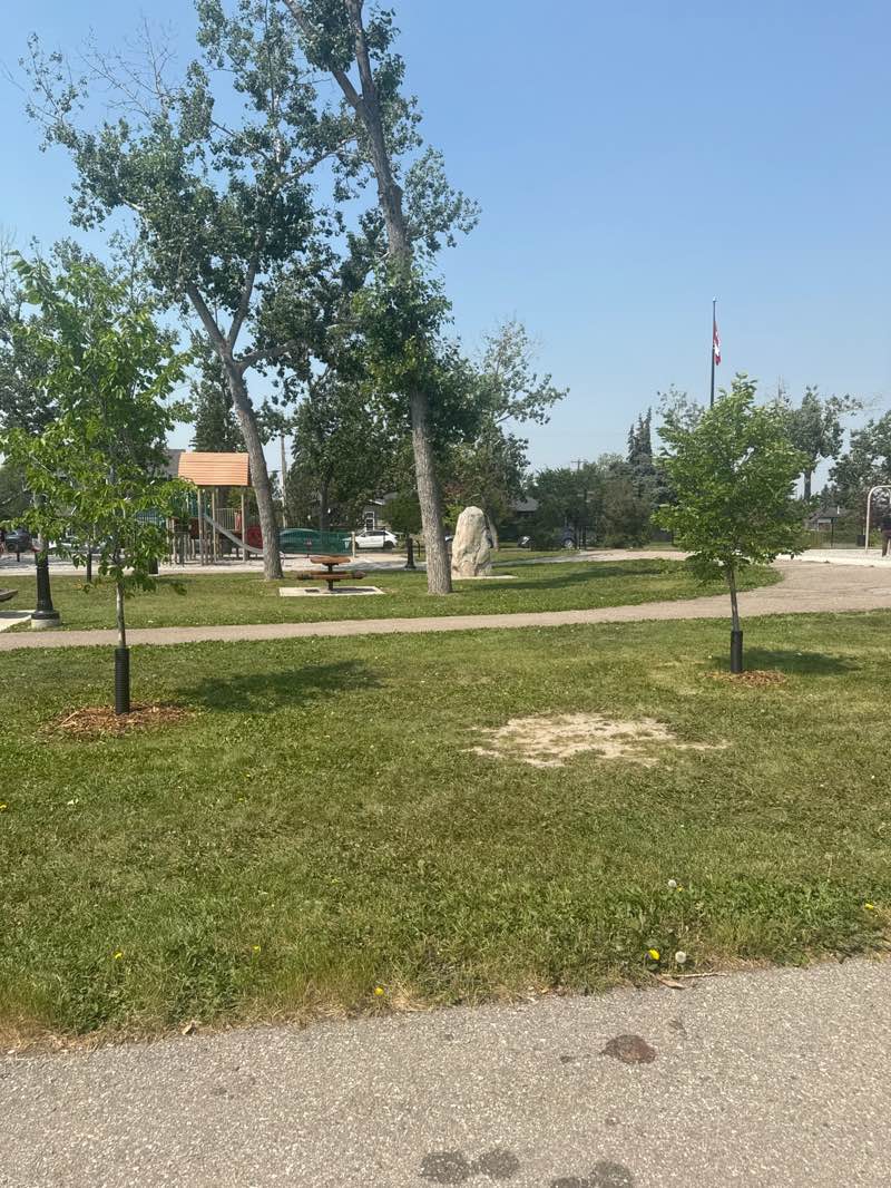walking near me in Jensen Park in summer