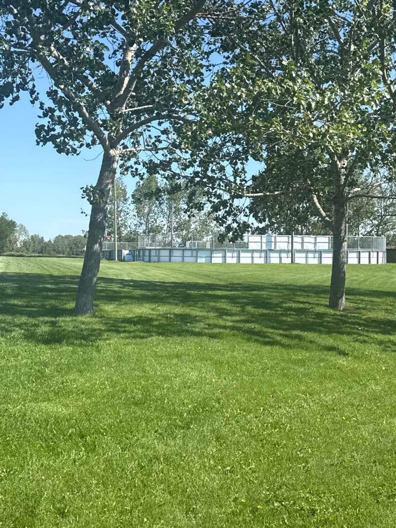 walking near me in East Lake Park in summer