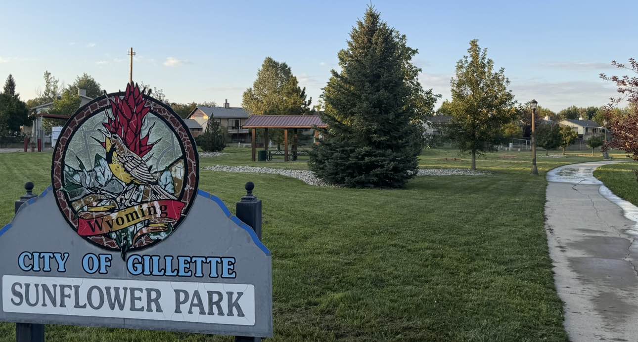 walking near me in Sunflower Park in summer