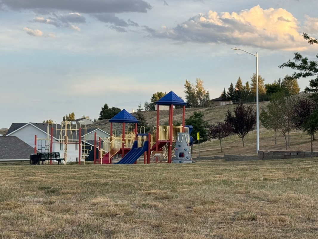 walking near me in Upper Sage Valley Park in summer