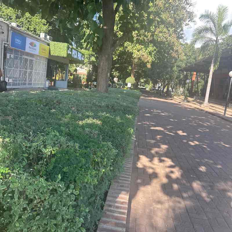 Rukshana Charania - Matola post 1
