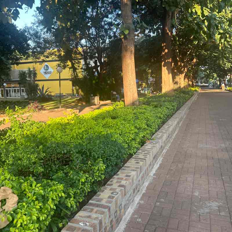 Rukshana Charania - Matola post 1
