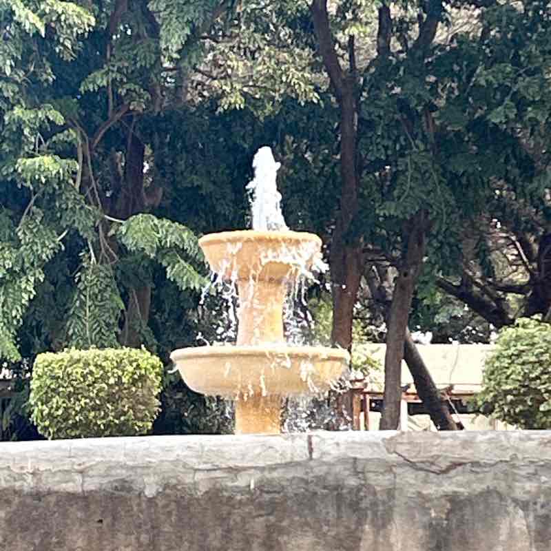 Rukshana Charania - Matola post 1