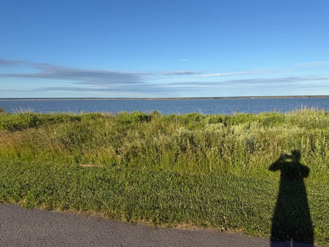 walking near me in Wilkeson Pointe in summer