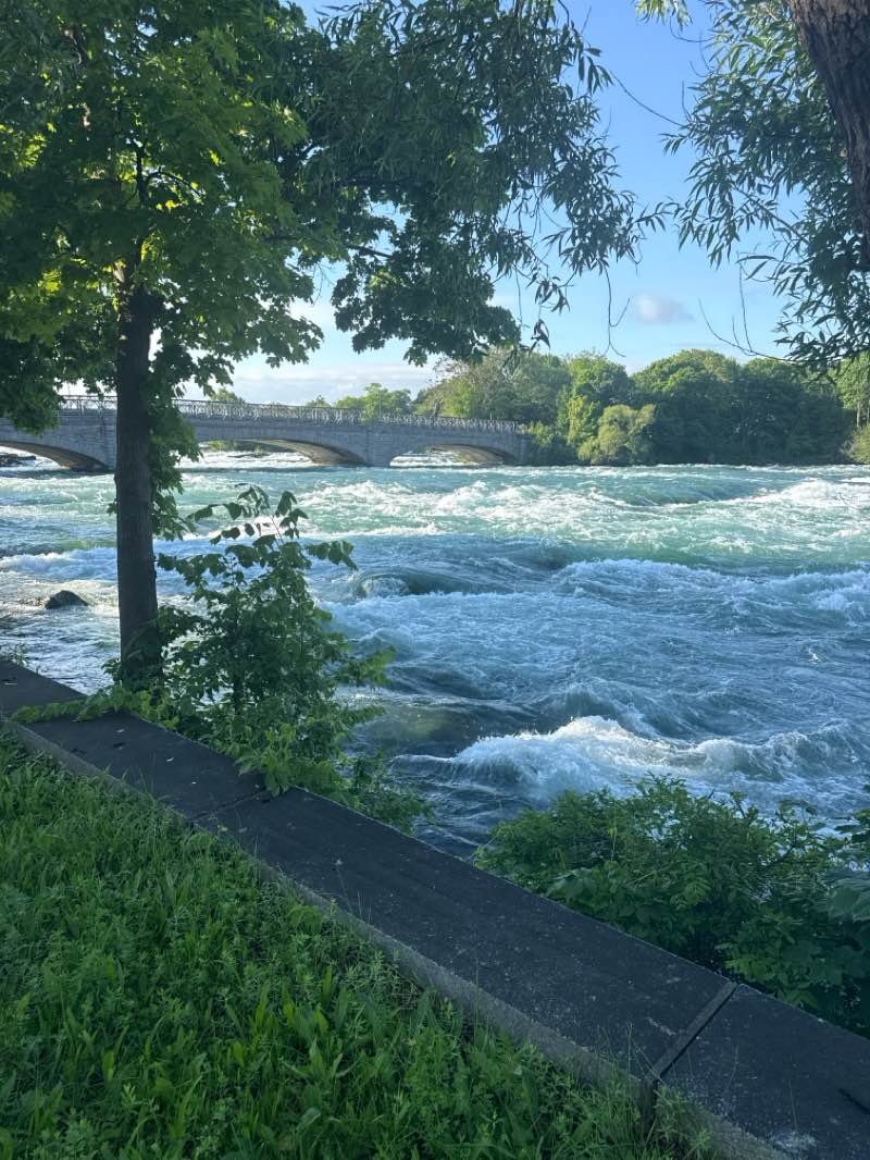 walking near me in Niagara Falls State Park in summer