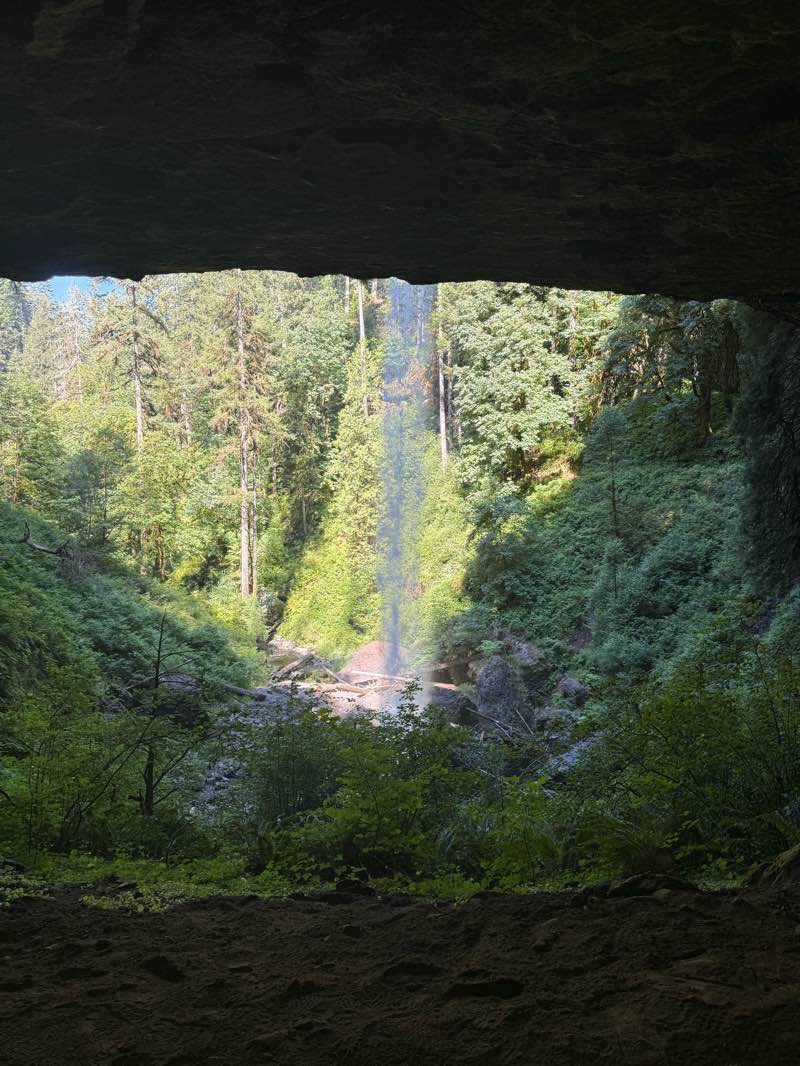 walking near me in Silver Falls State Park in summer