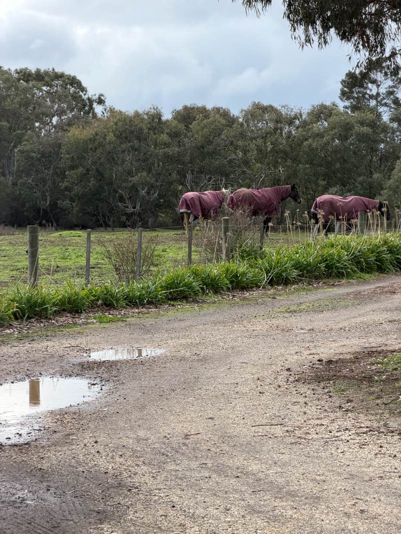 walking near me in Dooliebeal Reserve in winter