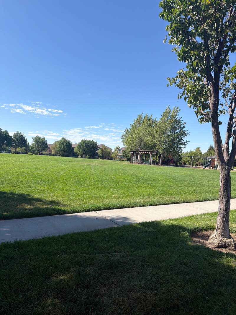 walking near me in Hayes Park in summer