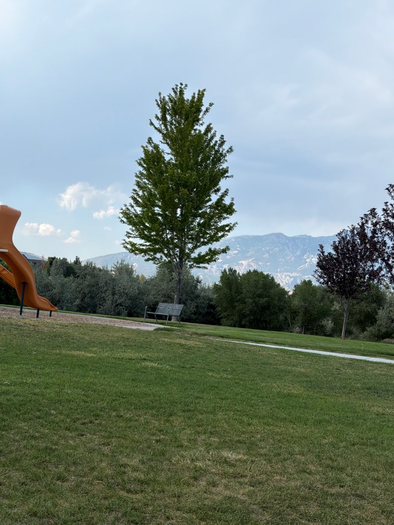 walking near me in Hunter Park in summer