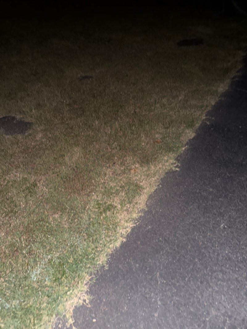 walking near me in Fairway Park in summer