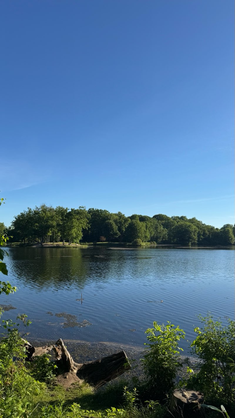 walking near me in Hudson Springs Park in summer