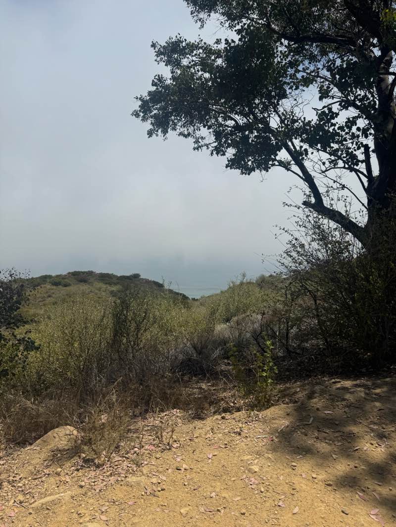 walking near me in Charmlee Wilderness Park in summer