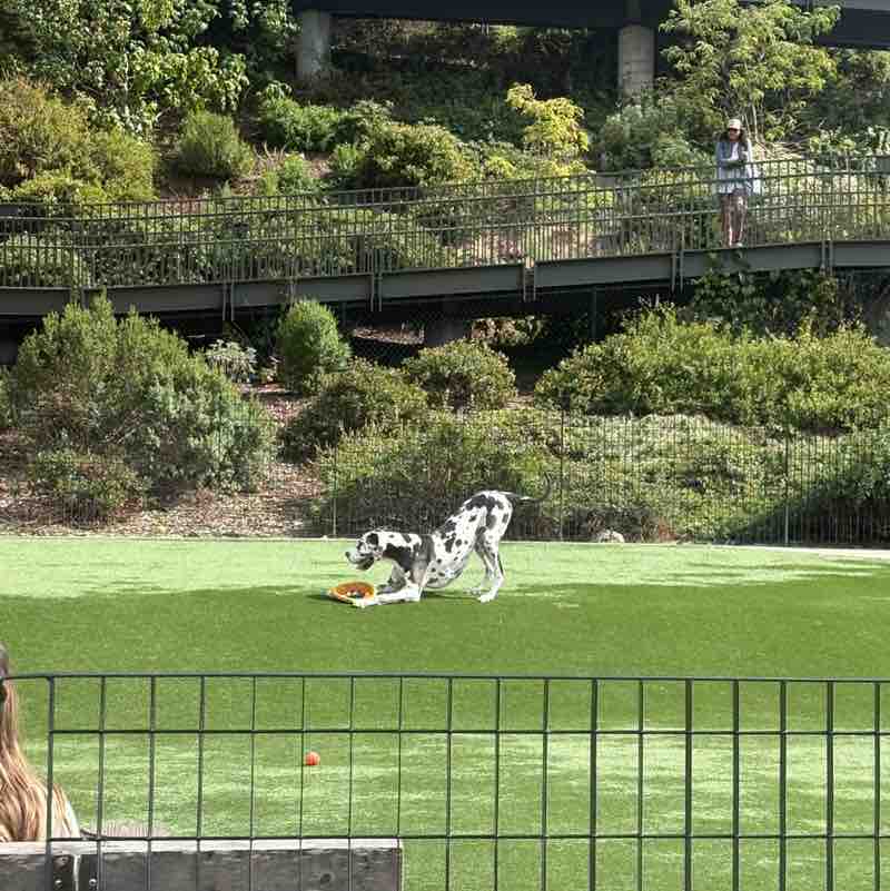 Real Housewives of SF Madeline post image