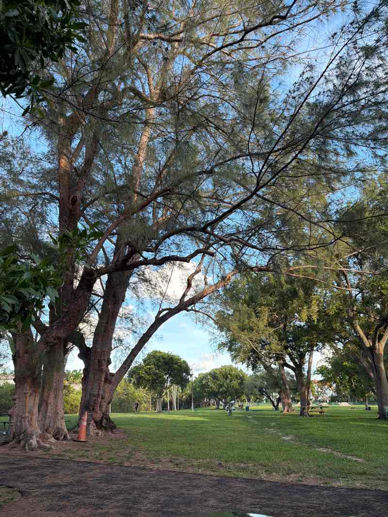 walking near me in Kennedy Park in summer