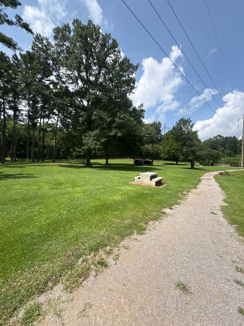 walking near me in Black Creek Park in summer