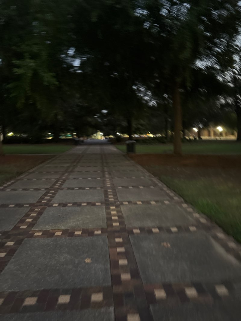 walking near me in Kelly Ingram Park in summer