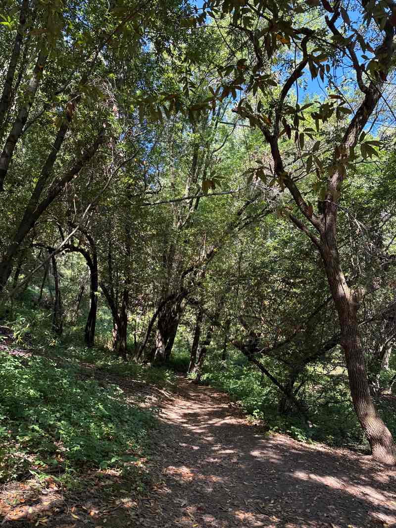 walking near me in Ohair Park in summer