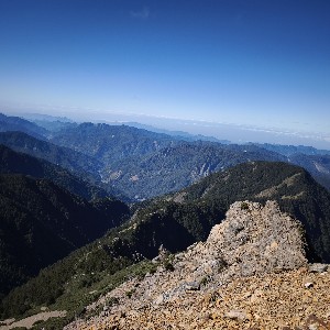 T03261 profile