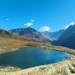 Laëtitia icon