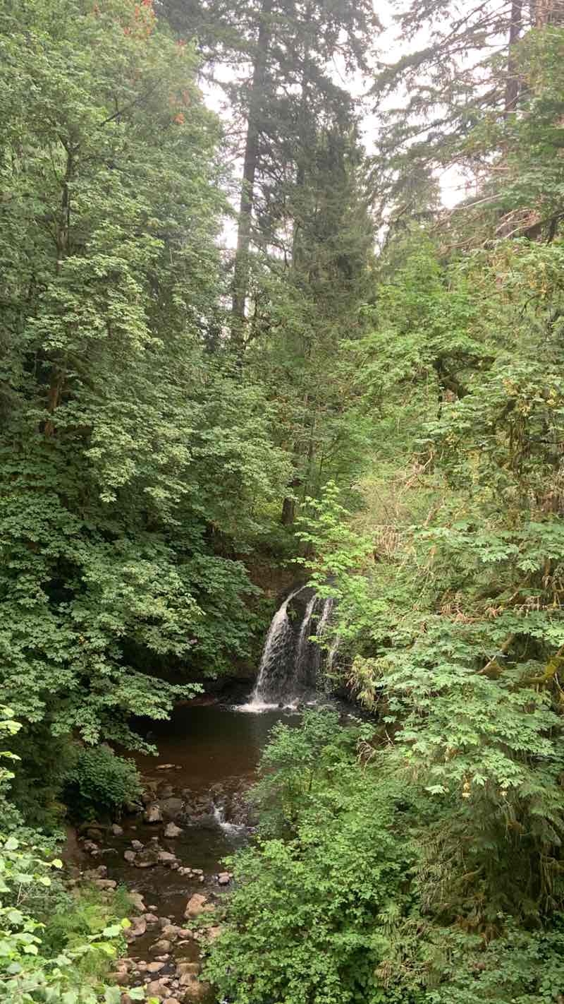 walking near me in Hidden Falls Nature Park in summer