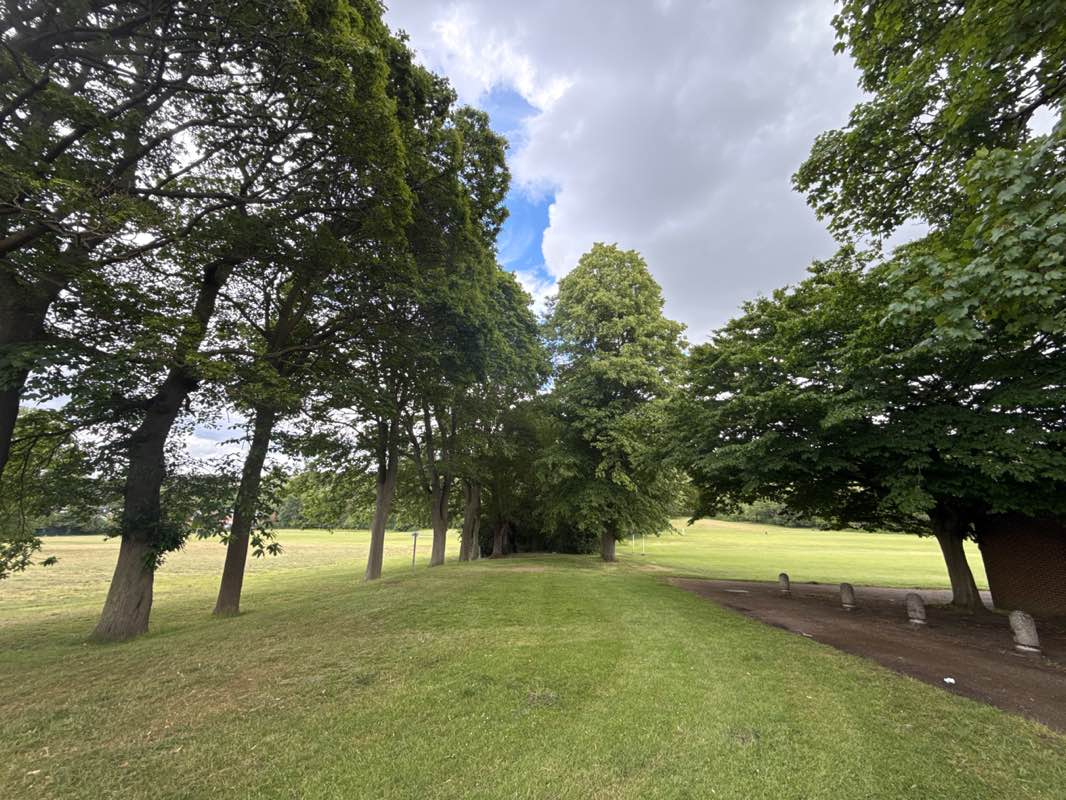 walking near me in Luton Recreation Ground in summer