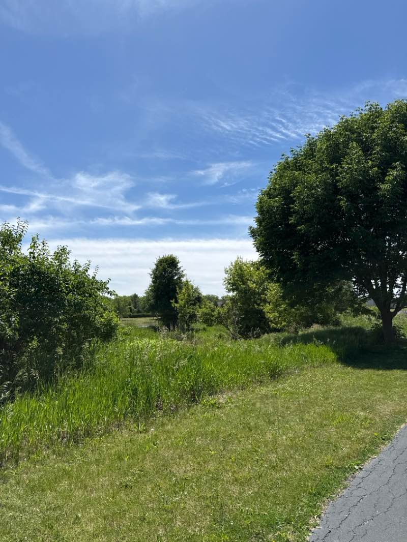 walking near me in Lily Cache Sports Fields in summer