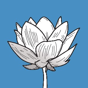 Pixelus profile