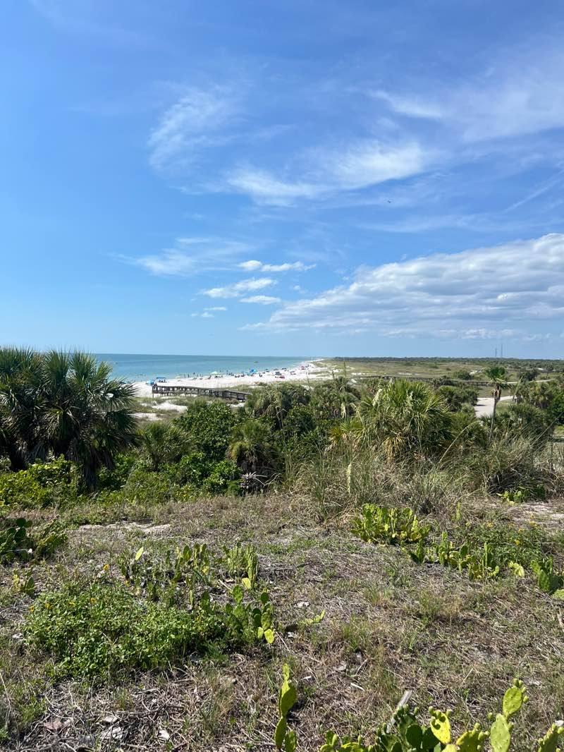 walking near me in Fort De Soto County Park in summer