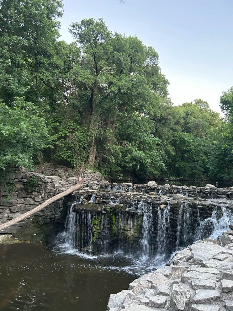 walking near me in Renner West Linear Park in summer