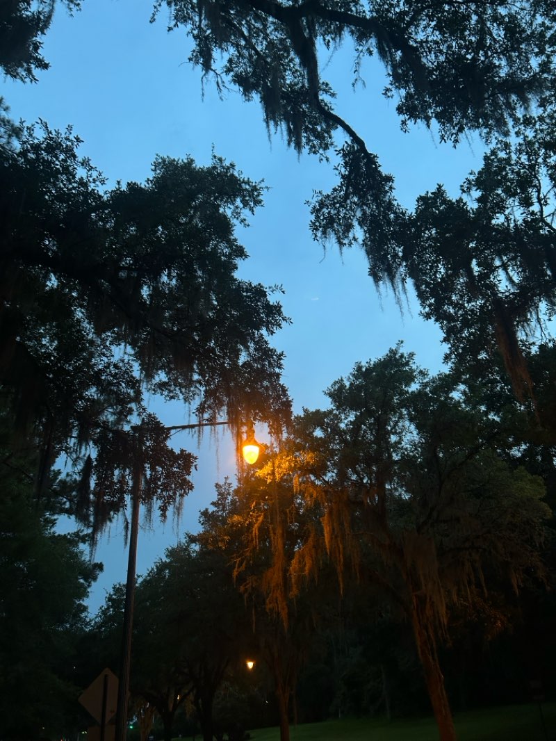 walking near me in Central Lake Park in summer