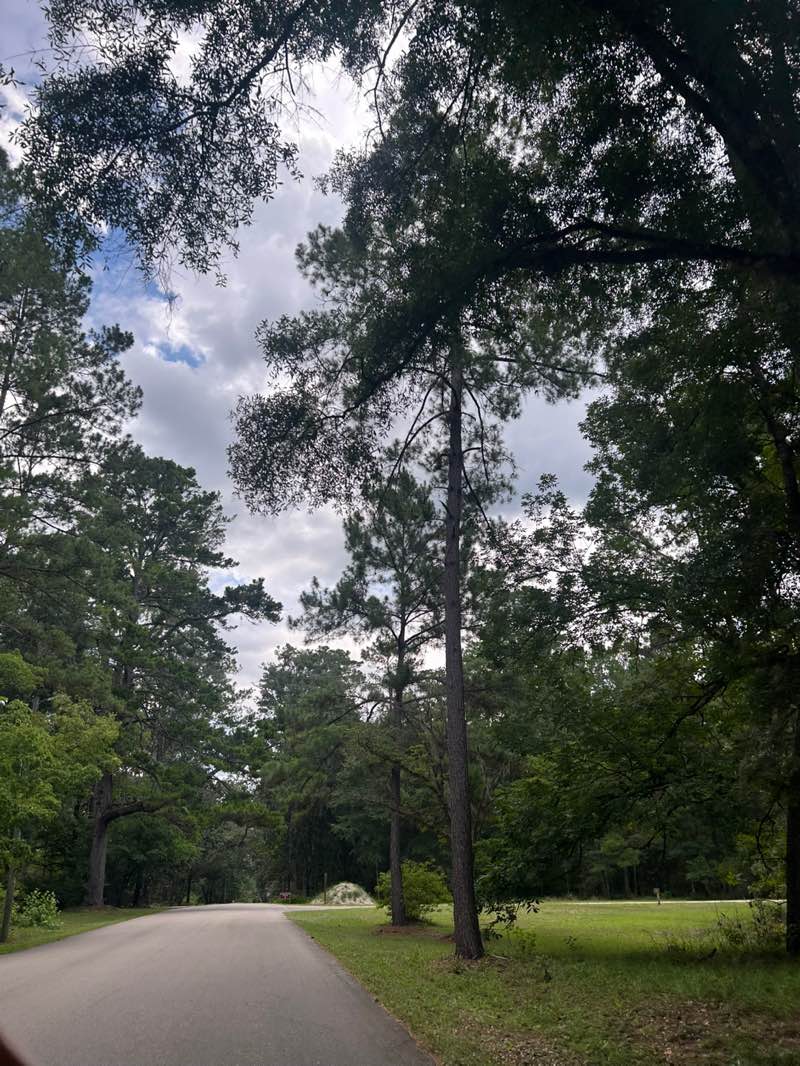 walking near me in Edward Ball Wakulla Springs State Park in summer