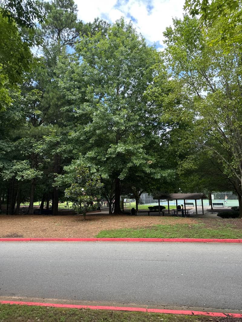 walking near me in Newtown Park in summer