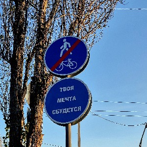 Елена Скво icon