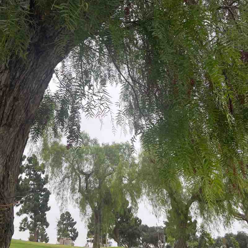KatieGirl post 1